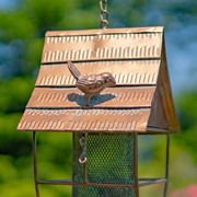 Small bird perched on a hanging birdhouse with a natural background
