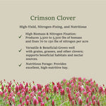 Premium Crimson Clover Cover Crop Seed - 1 oz. (Trifolium Incarnatum) - Napa Valley Wildflower Co.