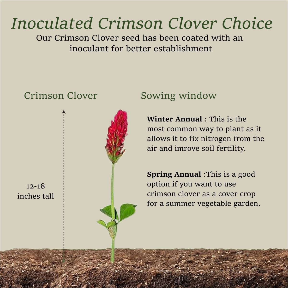 Premium Crimson Clover Cover Crop Seed - FAQ