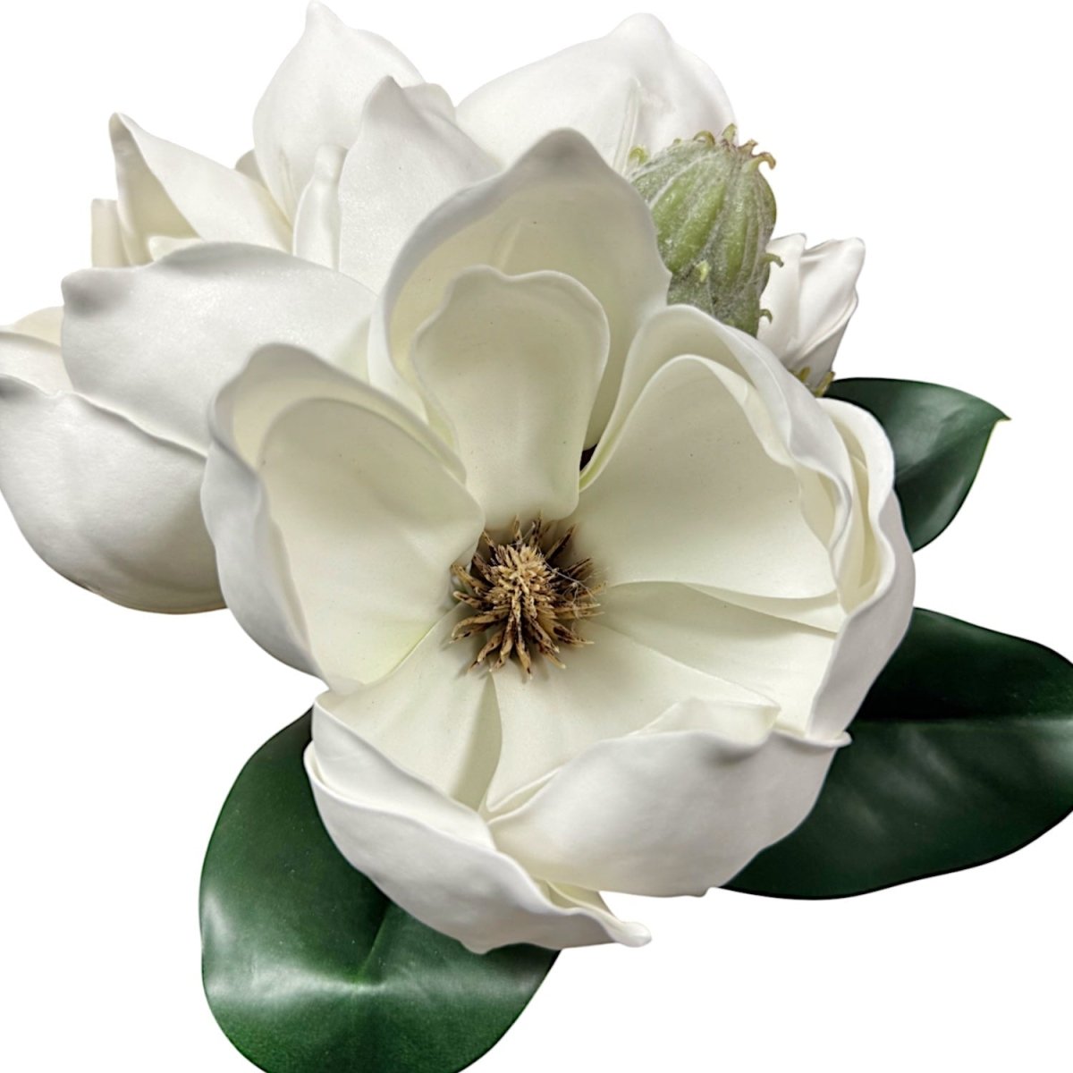 Real Touch Magnolia Stem | 12'' Long - Napa Valley Wildflower Co.