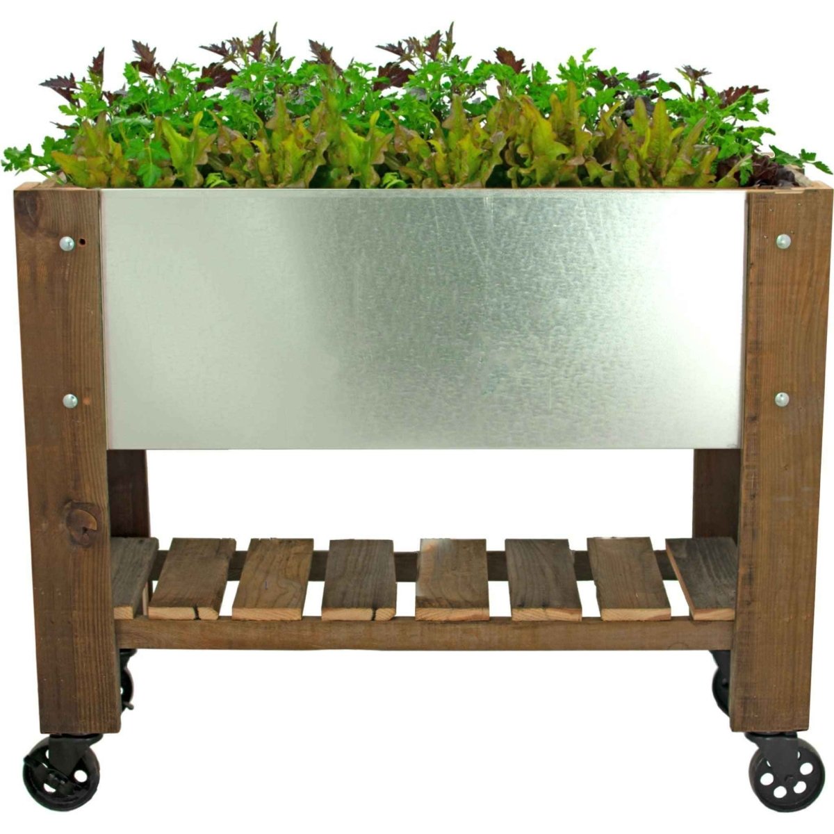 Redwood Raised Bed Planter Box on Casters - Napa Valley Wildflower Co.