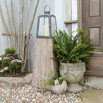Removable Metal Lanterns with Wood Base, Set of Two - Napa Valley Wildflower Co.