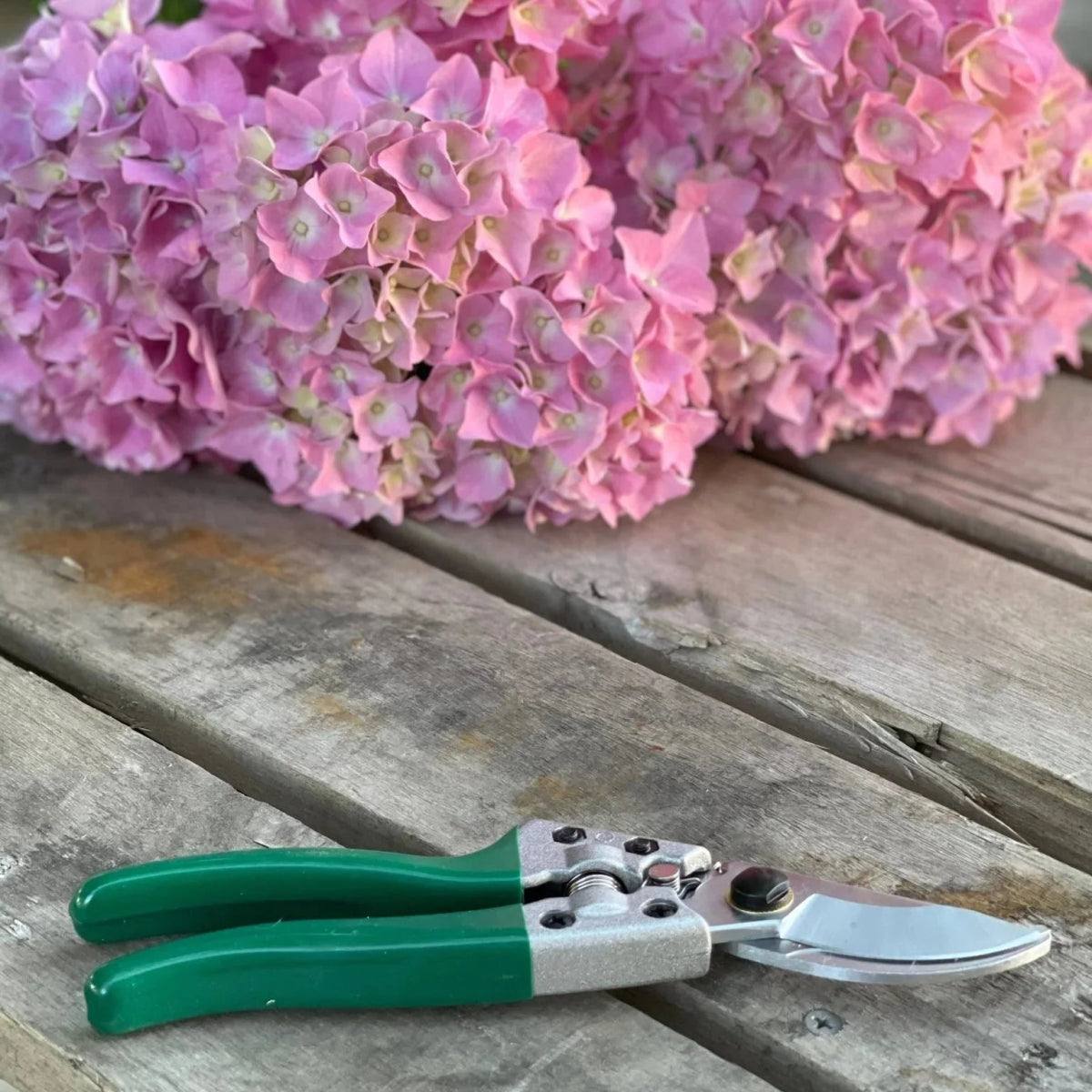 Rose Gardener's Gift Box - Napa Valley Wildflower Co.