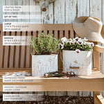 Rustic Cream Mushroom Embossed Metal Buckets, Set of Two - Napa Valley Wildflower Co.