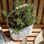 Rustic Cream Mushroom Embossed Metal Buckets, Set of Two - Napa Valley Wildflower Co.