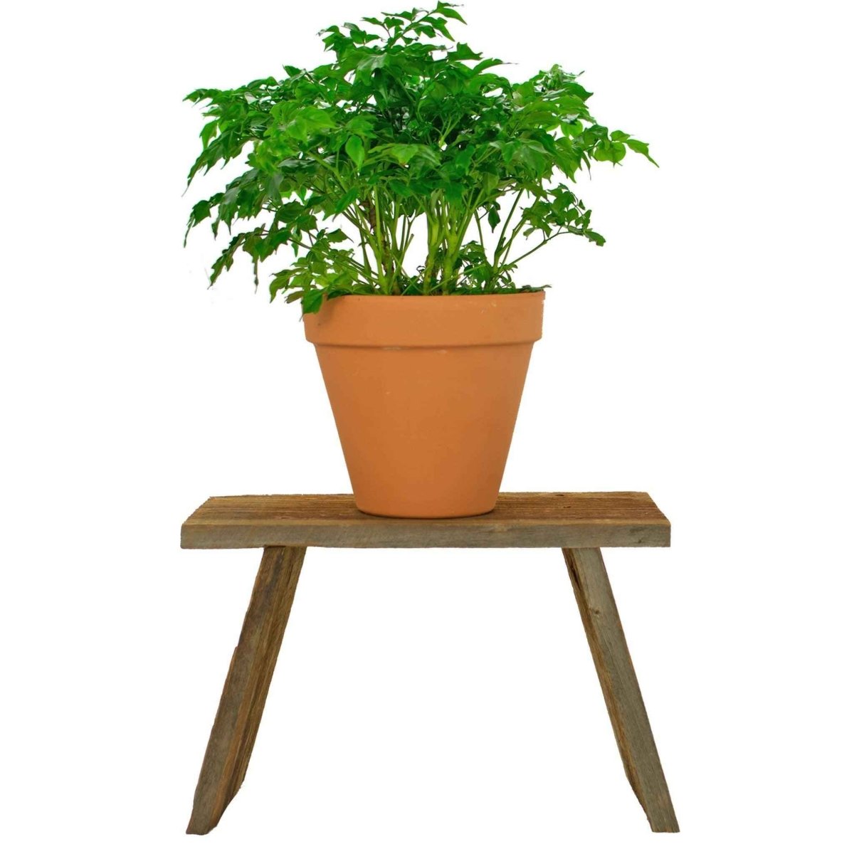 Rustic Redwood Build - Up End Table - Napa Valley Wildflower Co.
