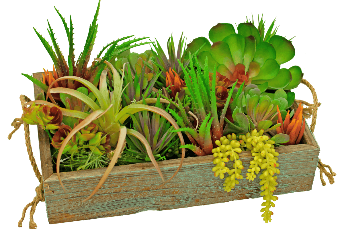 Rustic Redwood Gardening Furniture Collection (Complete Set) - Napa Valley Wildflower Co.