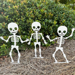 Skeleton Metal Yard Stakes Set - Napa Valley Wildflower Co.