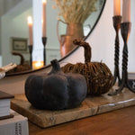 Small Terracotta Pumpkins | 3 Colors - Napa Valley Wildflower Co.