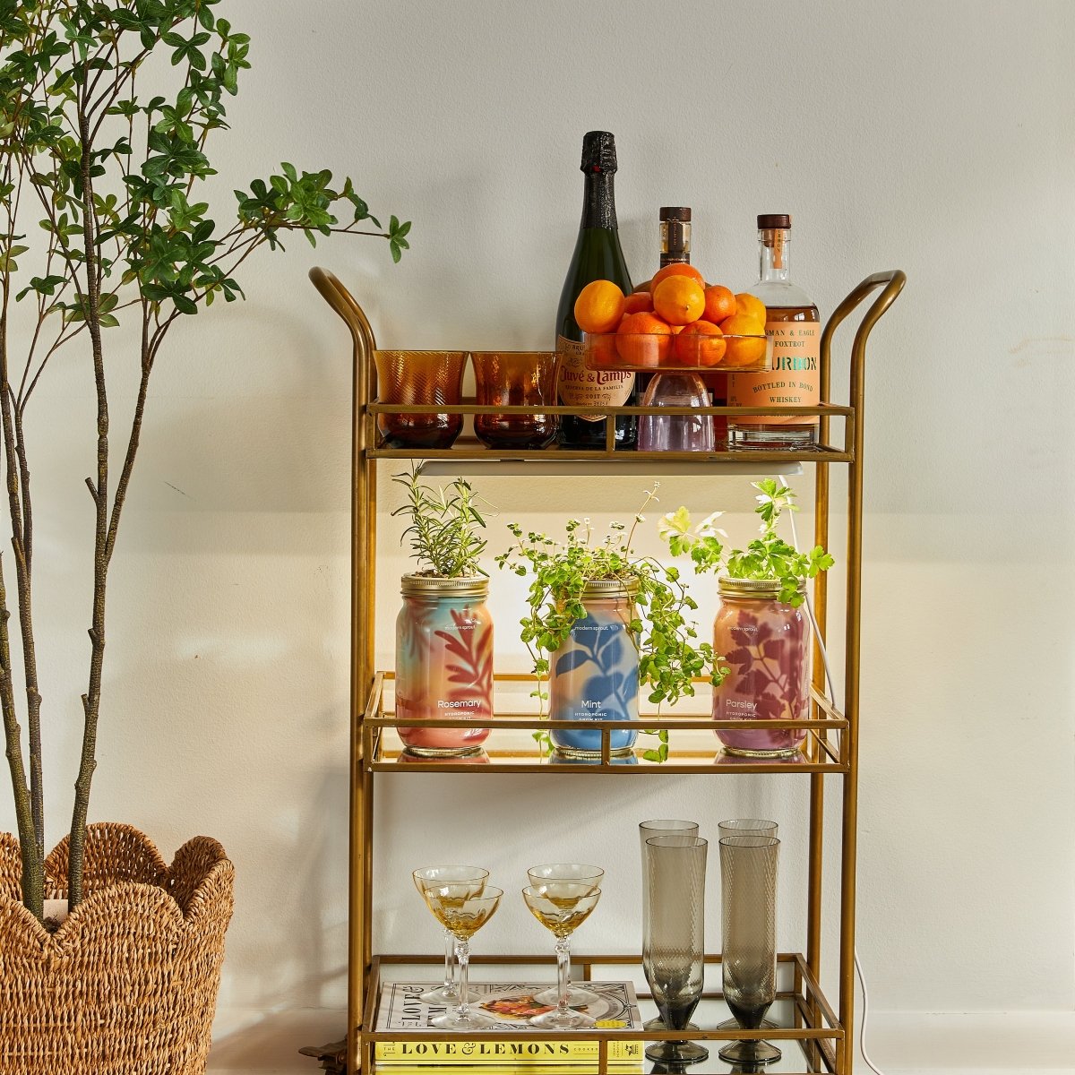 Smart Growbar - Napa Valley Wildflower Co.