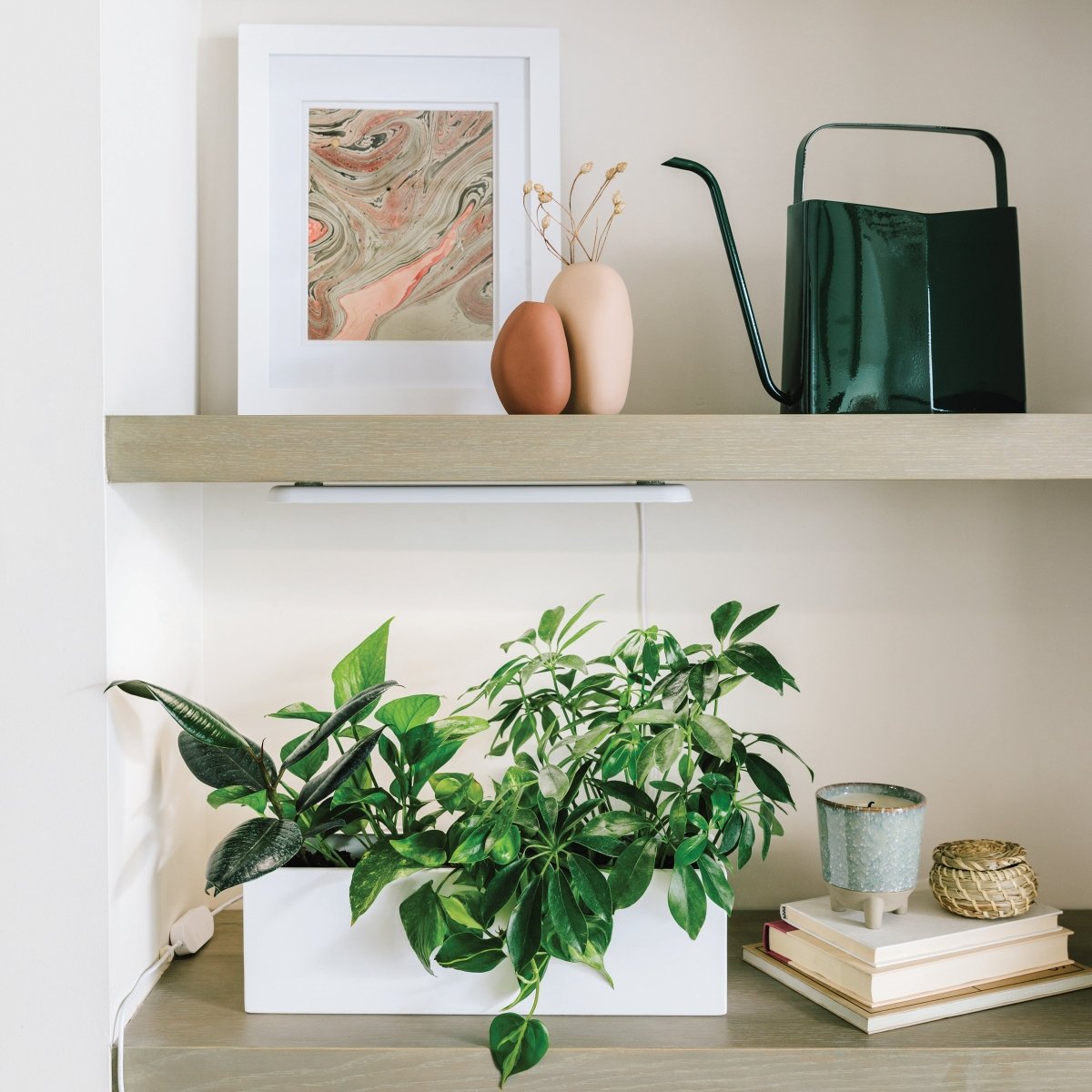 Smart Growbar - Napa Valley Wildflower Co.