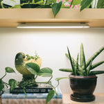 Smart Growbar - Napa Valley Wildflower Co.