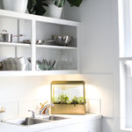 Smart Growhouse - Napa Valley Wildflower Co.