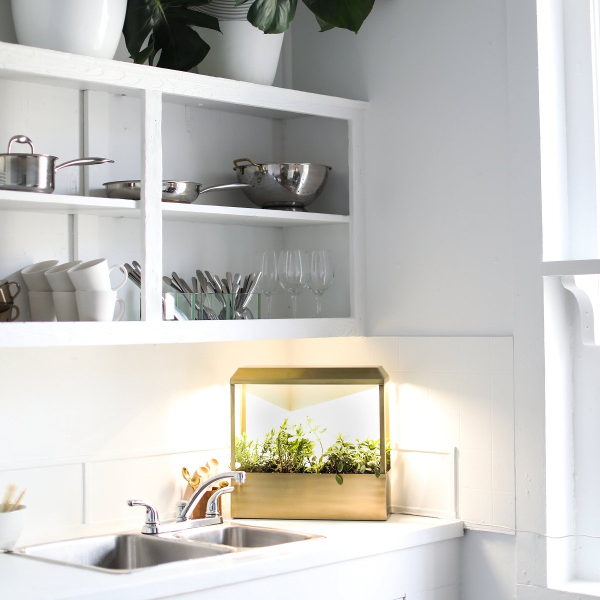 Smart Growhouse - Napa Valley Wildflower Co.