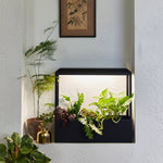 Smart Growhouse - Napa Valley Wildflower Co.