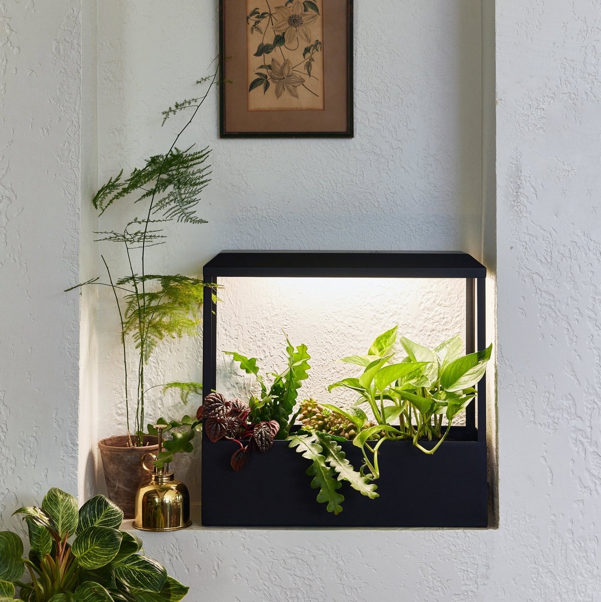 Smart Growhouse - Napa Valley Wildflower Co.