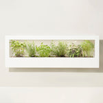 Smart Landscape Growframe - Napa Valley Wildflower Co.
