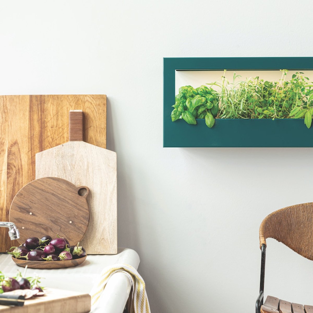 Smart Landscape Growframe - Napa Valley Wildflower Co.