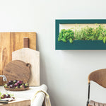 Smart Landscape Growframe - Napa Valley Wildflower Co.