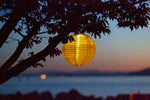 Soji Festival 12" Round Solar Lantern - Napa Valley Wildflower Co.