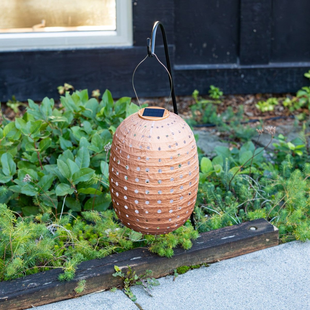 Soji Stella - Barrel Swiss Dot - 14" Solar Lantern - Napa Valley Wildflower Co.