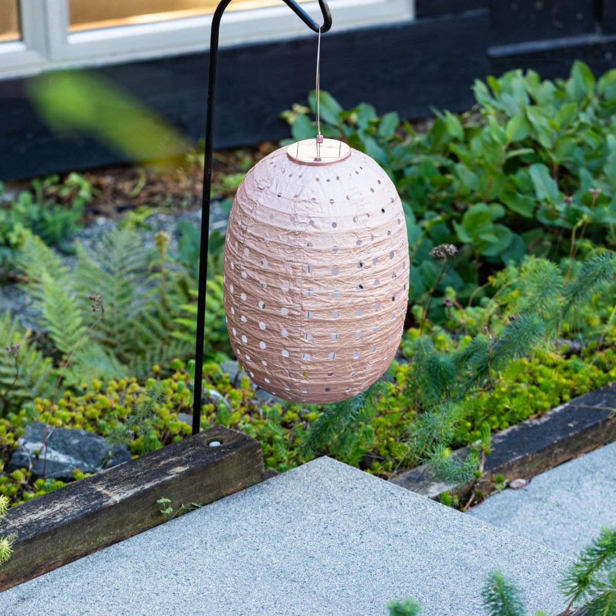 Soji Stella - Barrel Swiss Dot - 14" Solar Lantern - Napa Valley Wildflower Co.