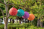 Soji Stella - Brights Geo Palm - 12" Solar Lantern - Napa Valley Wildflower Co.