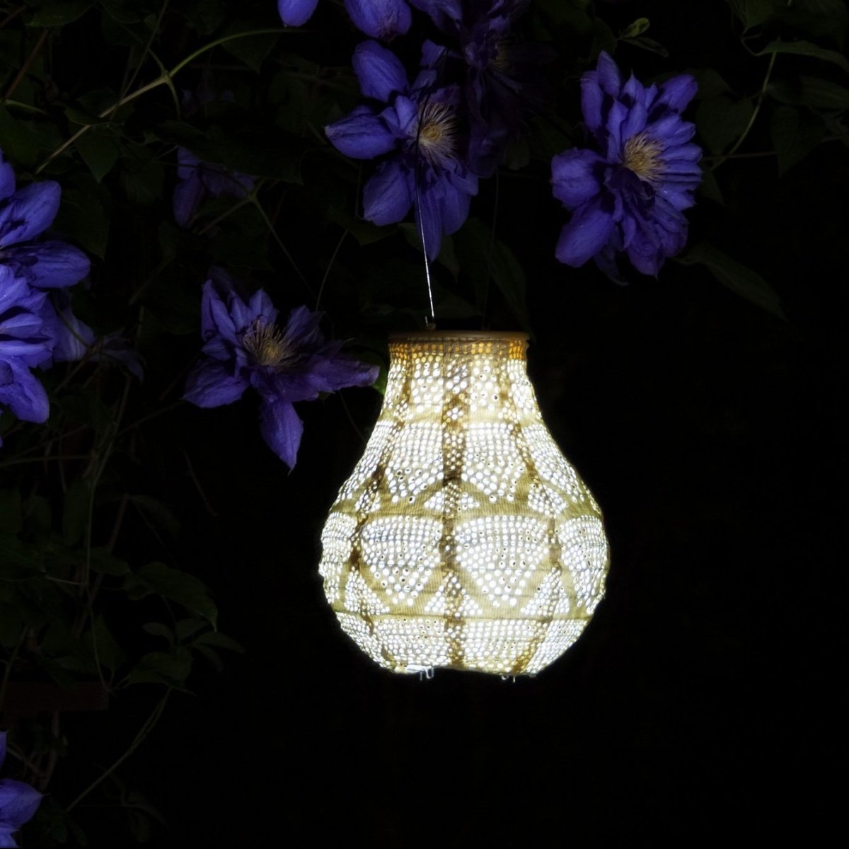 Soji™ Stella Bulb 8" Solar Lantern - Napa Valley Wildflower Co.