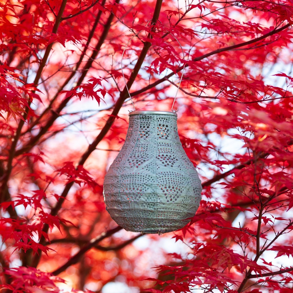 Soji™ Stella Bulb 8" Solar Lantern - Napa Valley Wildflower Co.