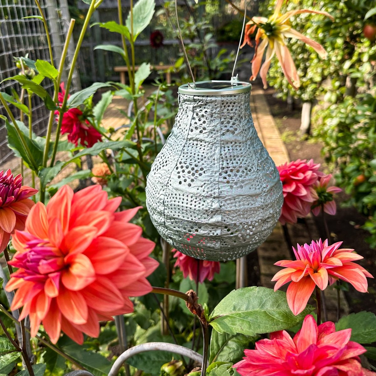 Soji™ Stella Bulb 8" Solar Lantern - Napa Valley Wildflower Co.