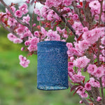 Soji™ Stella Cylinder 7.5" Solar Lantern - Napa Valley Wildflower Co.