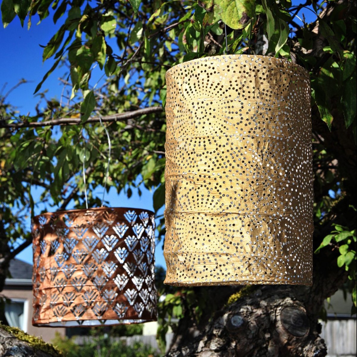 Soji™ Stella Cylinder 7.5" Solar Lantern - Napa Valley Wildflower Co.