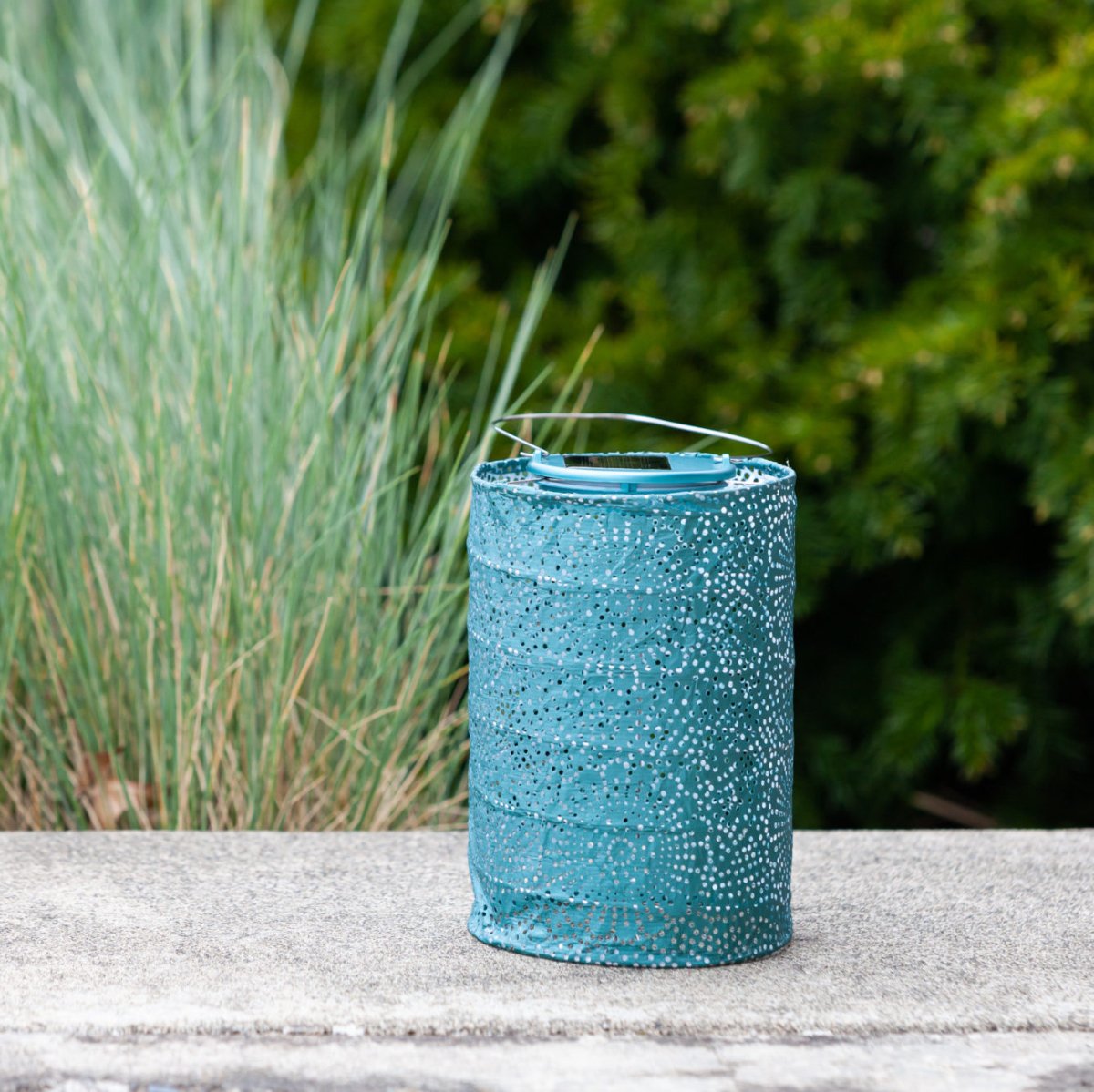 Soji™ Stella Cylinder 7.5" Solar Lantern - Napa Valley Wildflower Co.