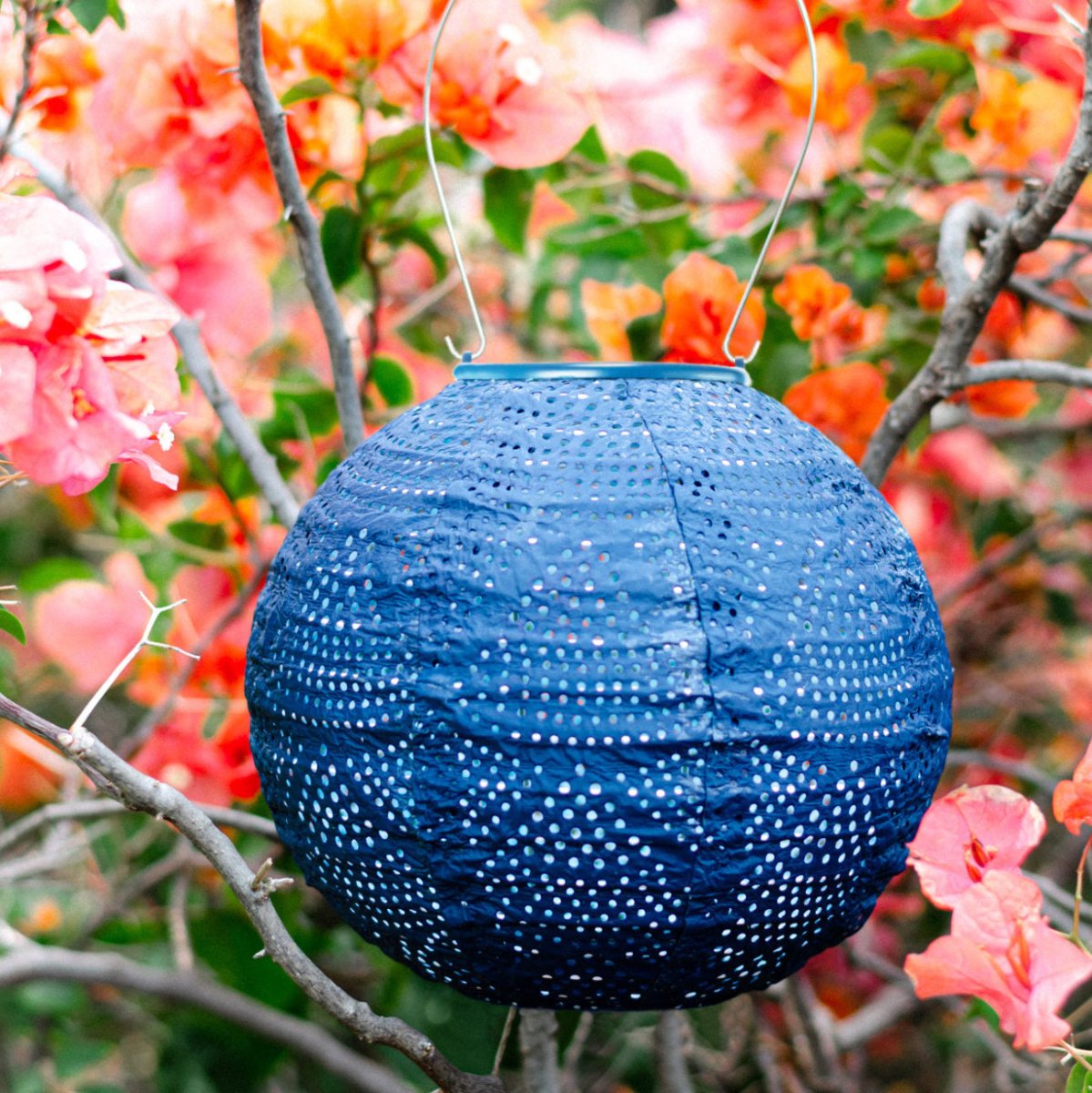Soji Stella - Globe - 8" Solar Lantern - Napa Valley Wildflower Co.