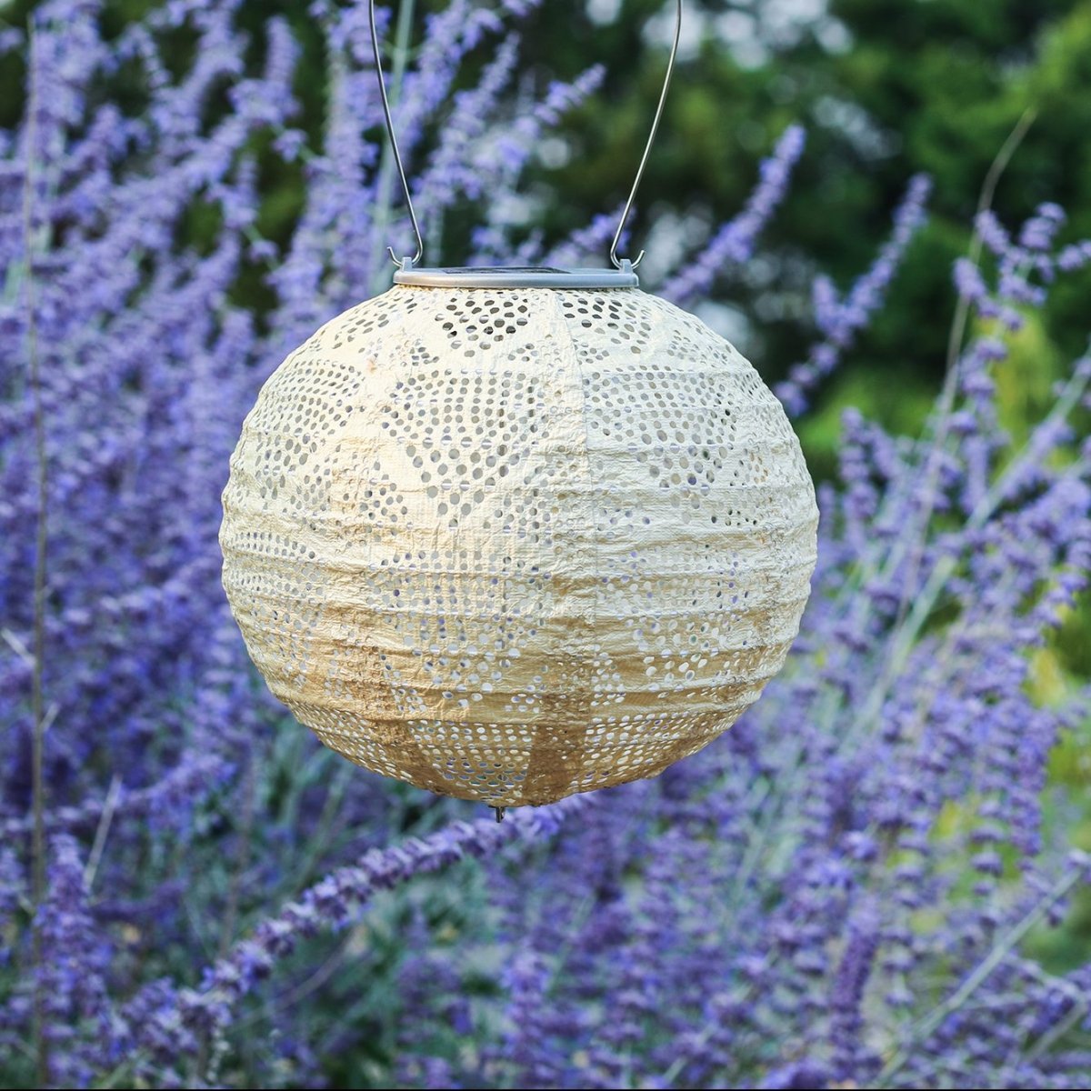 Soji Stella - Globe - 8" Solar Lantern - Napa Valley Wildflower Co.