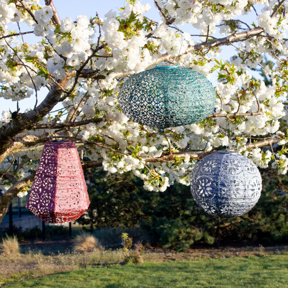 Soji™ Stella Limited Edition Multi - Shape Solar Lantern 5 - Pack - Napa Valley Wildflower Co.