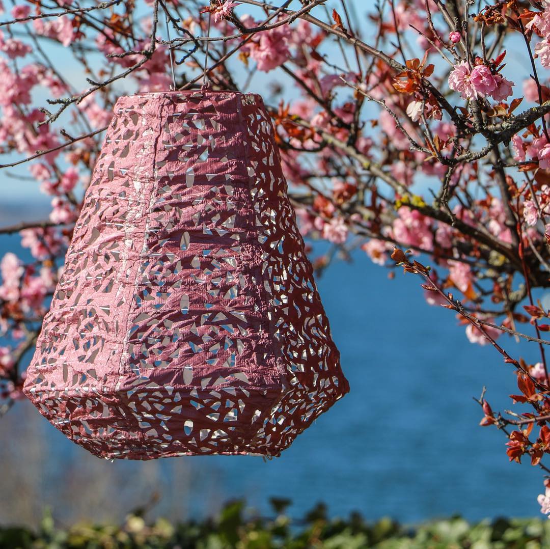 Soji™ Stella Limited Edition Multi - Shape Solar Lantern 5 - Pack - Napa Valley Wildflower Co.