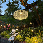 Soji Stella Nova Starbeam Evergeen - 20" Indoor / Outdoor Pendant Lamp (120V) - Napa Valley Wildflower Co.