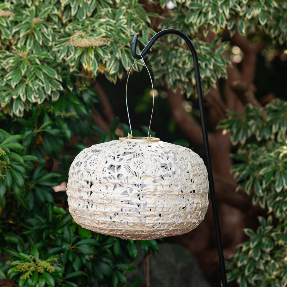 Soji Stella - Square - 11" Solar Lantern - Napa Valley Wildflower Co.