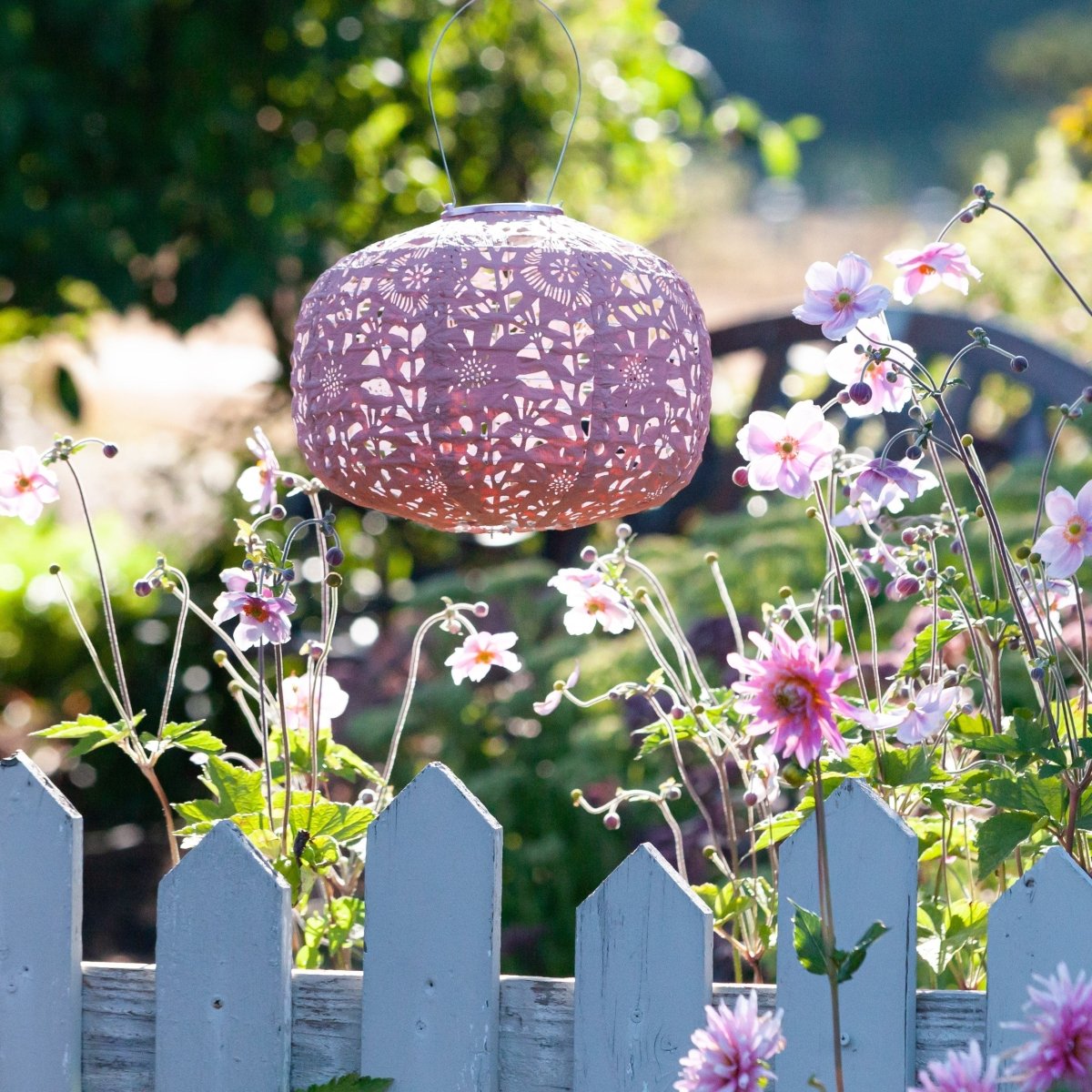 Soji Stella - Square - 11" Solar Lantern - Napa Valley Wildflower Co.