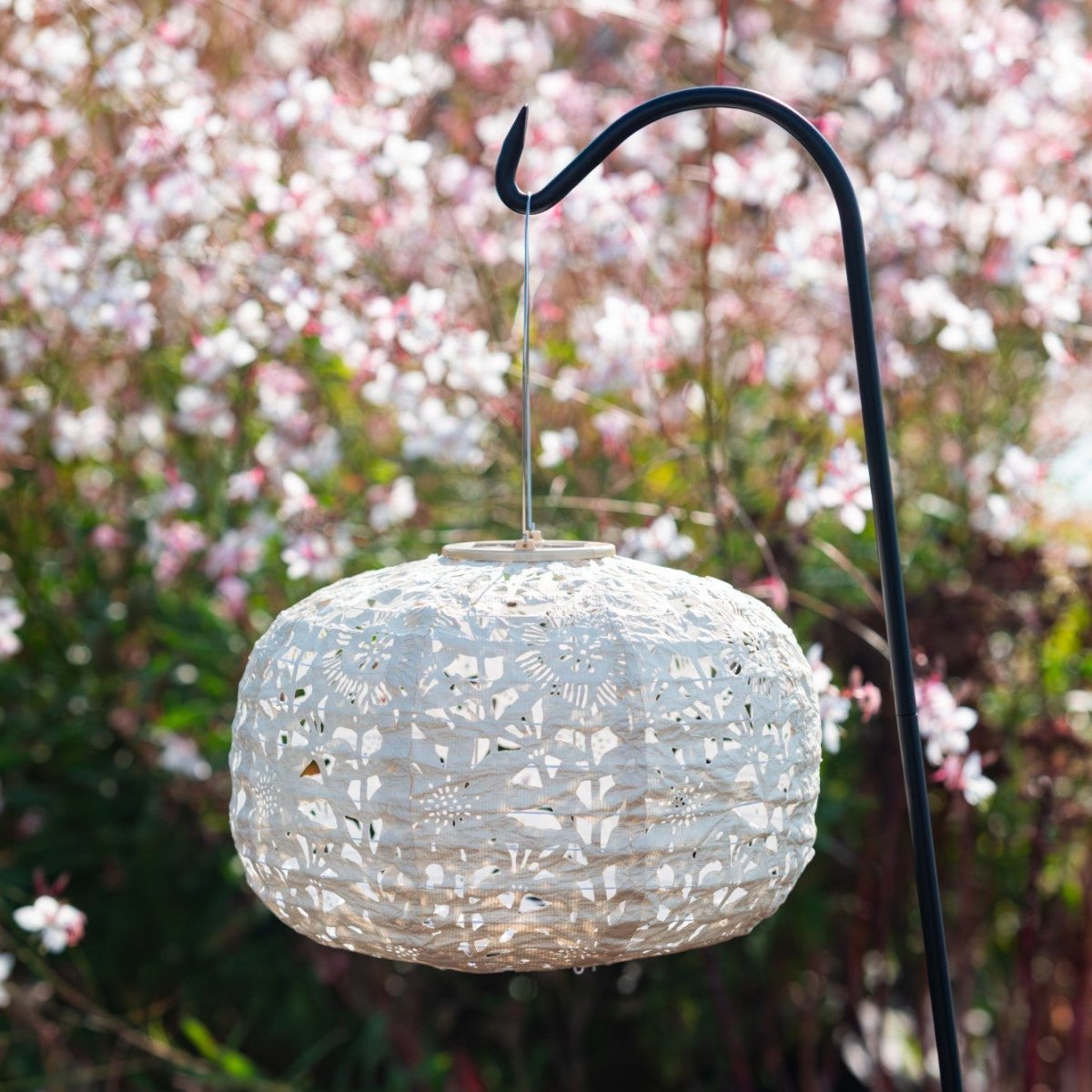 Soji Stella - Square - 11" Solar Lantern - Napa Valley Wildflower Co.