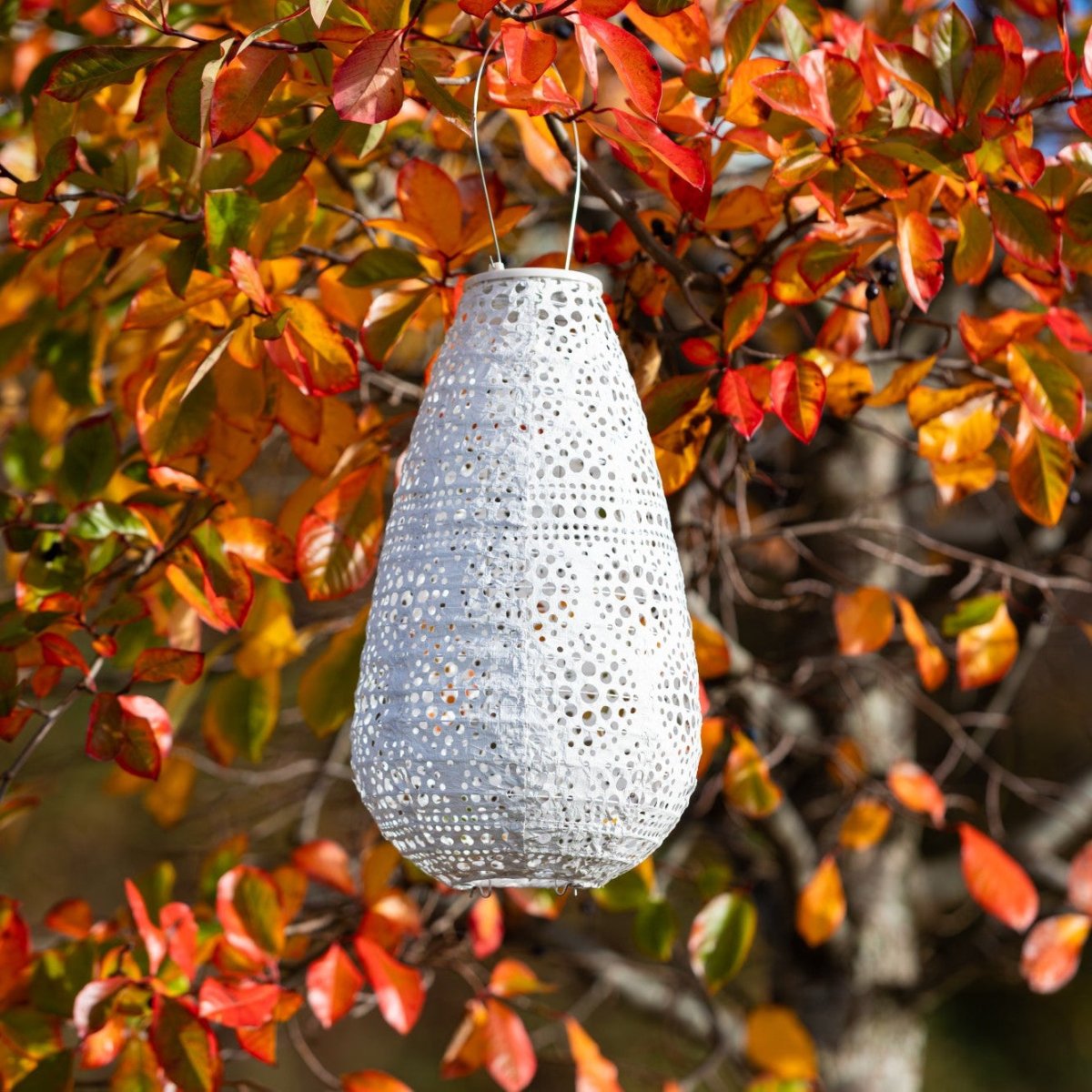 Soji Stella - Teardrop Blossom - 14" Solar Lantern - Napa Valley Wildflower Co.