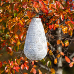 Soji Stella - Teardrop Blossom - 14" Solar Lantern - Napa Valley Wildflower Co.