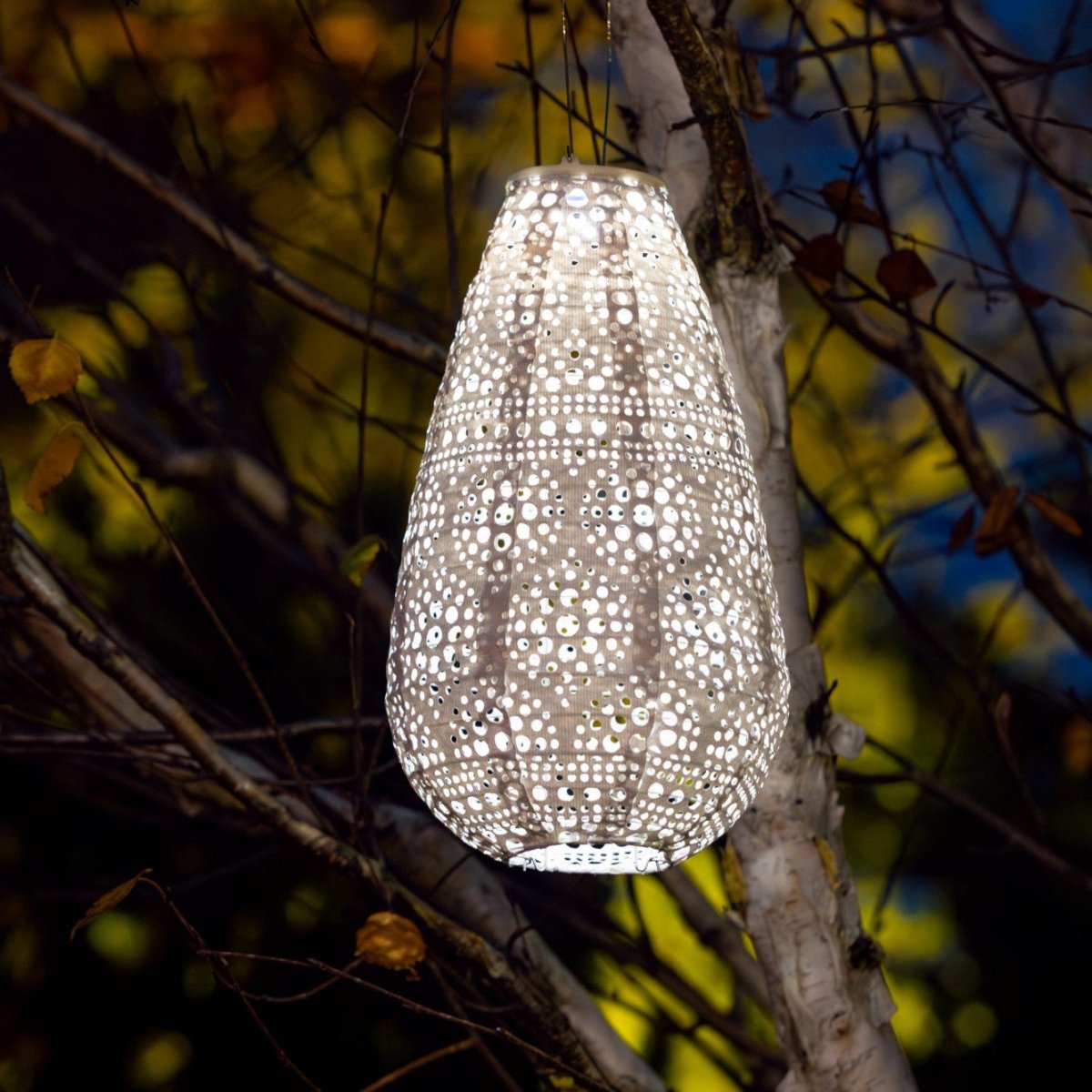 Soji Stella - Teardrop Blossom - 14" Solar Lantern - Napa Valley Wildflower Co.