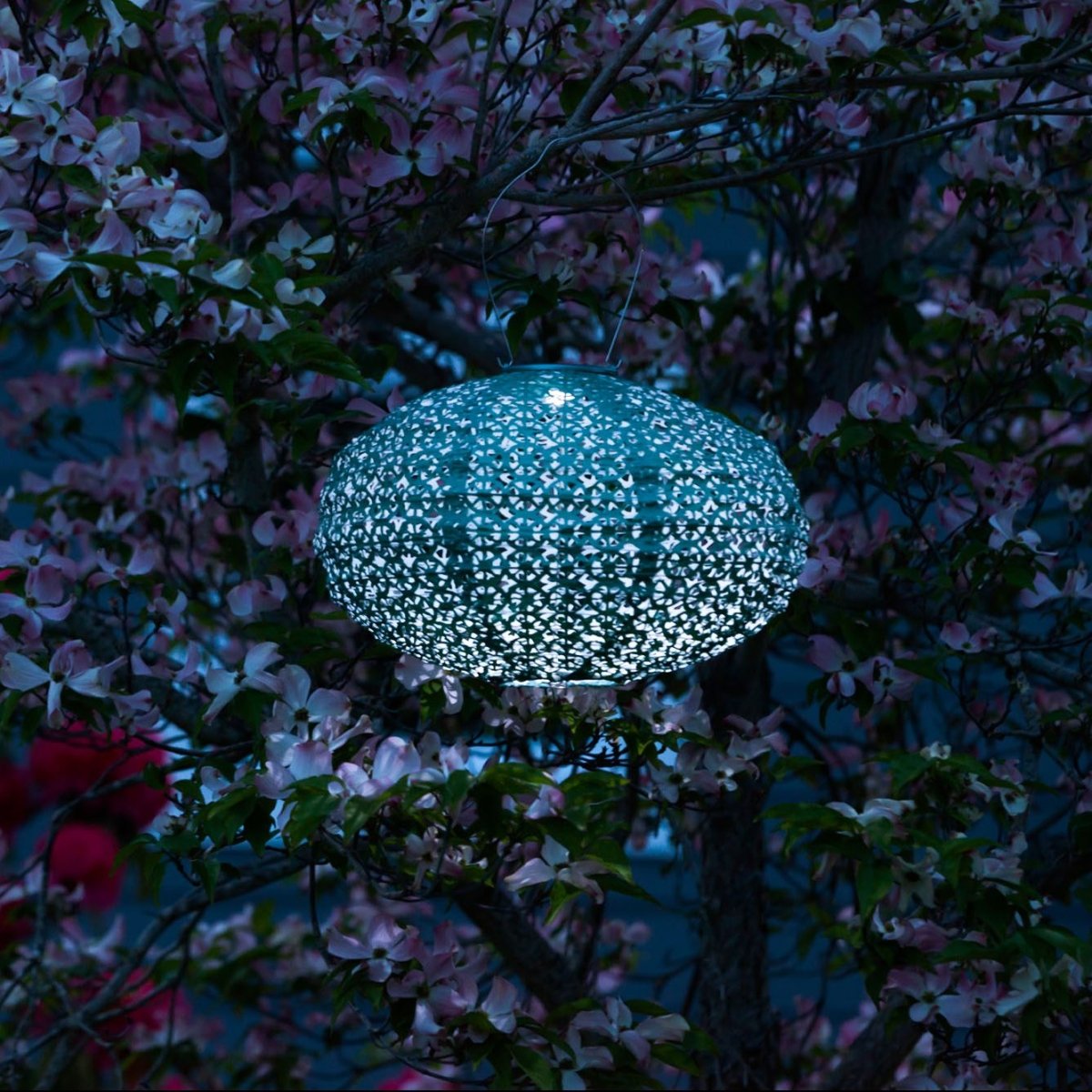 Soji Stella - Vintage Oval - 14" Solar Lantern - Napa Valley Wildflower Co.