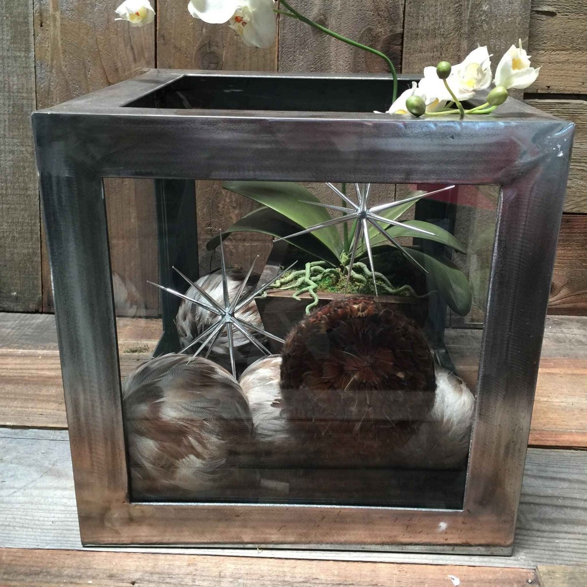 Steel & Glass Terrarium Box | Hand - Welded Display Planter 12” - Napa Valley Wildflower Co.