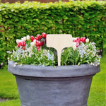 T - Type Bamboo Plant Label Stakes - Napa Valley Wildflower Co.