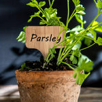 T - Type Bamboo Plant Label Stakes - Napa Valley Wildflower Co.