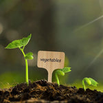 T - Type Bamboo Plant Label Stakes - Napa Valley Wildflower Co.
