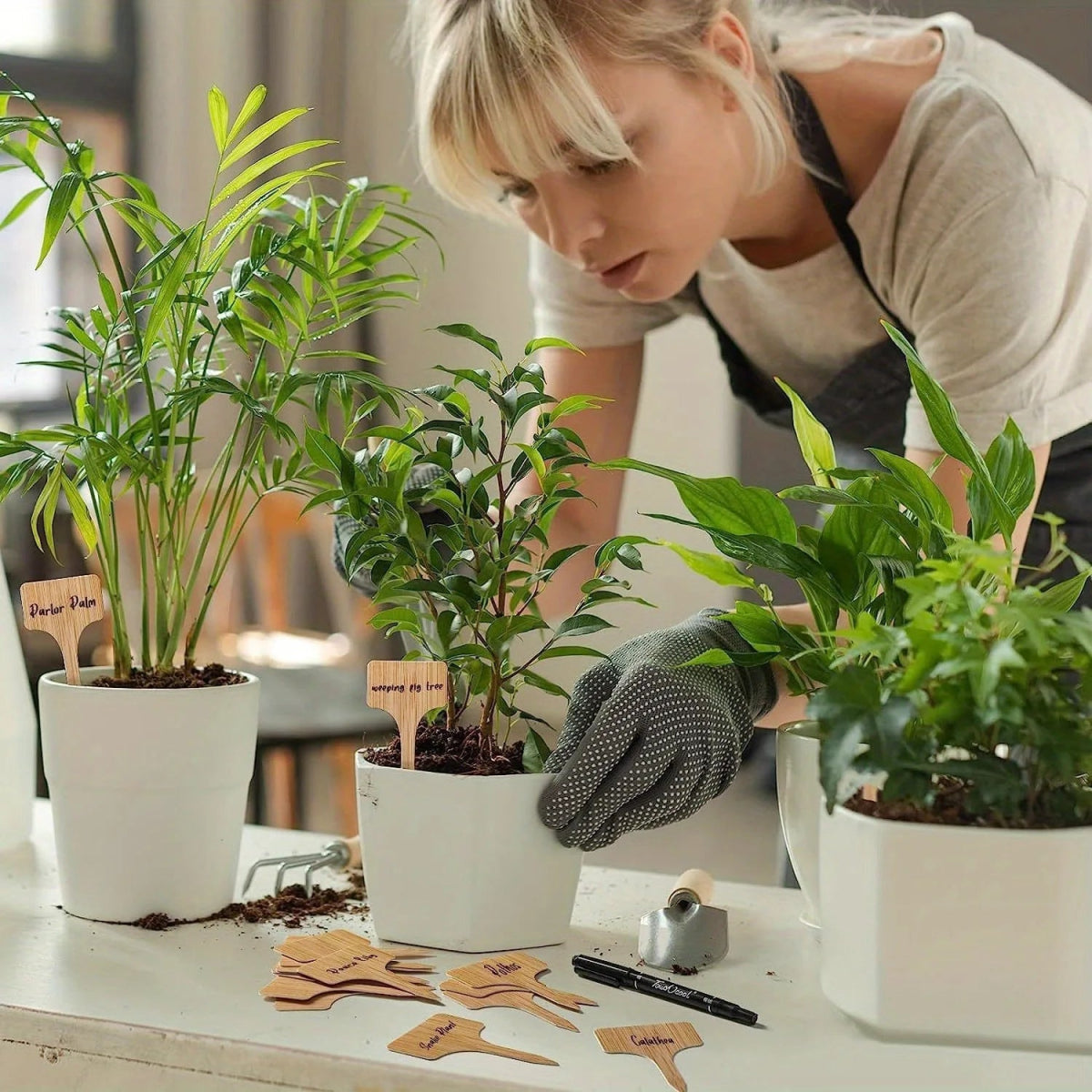 T - Type Bamboo Plant Label Stakes - Napa Valley Wildflower Co.